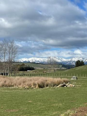 Boutique Tiny House - Te Anau Country Accommodation 외부 사진